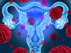 人乳头瘤病毒HPV与宫颈病变的关系