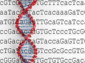 研究人员发现非标准RNA转录的新细节