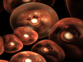 细胞不凋亡 新方法改善造血干细胞移植