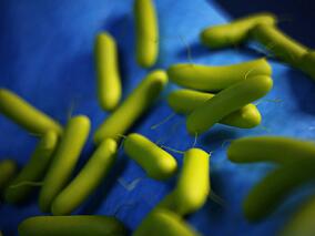 阿托伐他汀能减轻铜绿假单胞菌感染支气管扩张患者的炎症