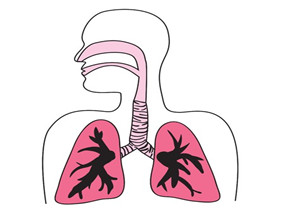 抗菌药治疗急性呼吸道感染 患者结局改善得益于这一指导