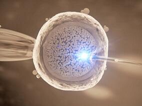 卵巢刺激方案：地屈孕酮能否代替孕激素？