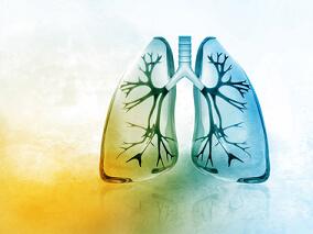 免疫检查点抑制剂在肺癌治疗中的应用