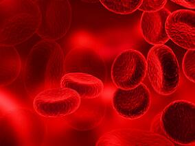 红细胞平均体积减低 哪些检验项目可助力确诊？