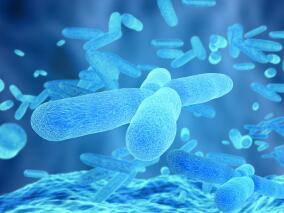预防艰难梭状芽孢杆菌感染 抗生素靠谱吗？
