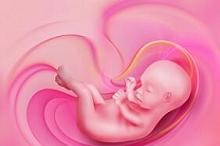 妊娠前使用避孕药是否影响生育能力？