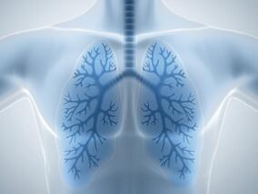 小细胞肺癌化疗后持续进展 用药选择难上加难