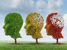 他汀治疗是否影响老年人认知功能衰退和痴呆？