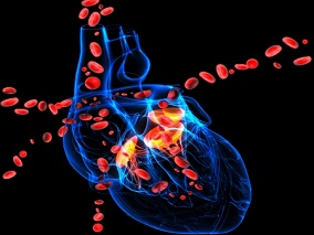 无痛风史的缺血性心脏病患者 别嘌醇能护心吗？一项多中心前瞻性研究提示不能
