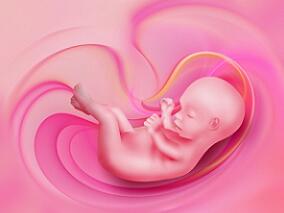 妊娠早期苯二氮卓类暴露 后代先天性畸形风险或小幅增加