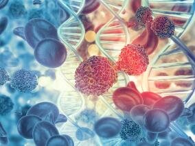BRCA1/2或ATM突变的晚期实体肿瘤：阿维鲁单抗+他拉唑帕尼能否获益？