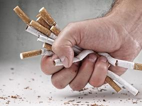 多所高校设烟草专业引争议 您怎么看？