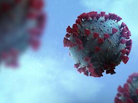 首次出现女性感染者！中疾控发布8月猴痘疫情监测情况 98.9%为男性