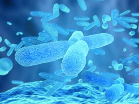 最新Meta分析揭示革兰阴性菌与革兰阳性菌脓毒症的预后差异