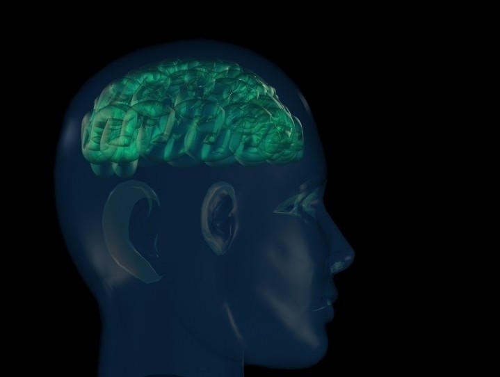 静注人免疫球蛋白临床应用文献总结（神经内科）