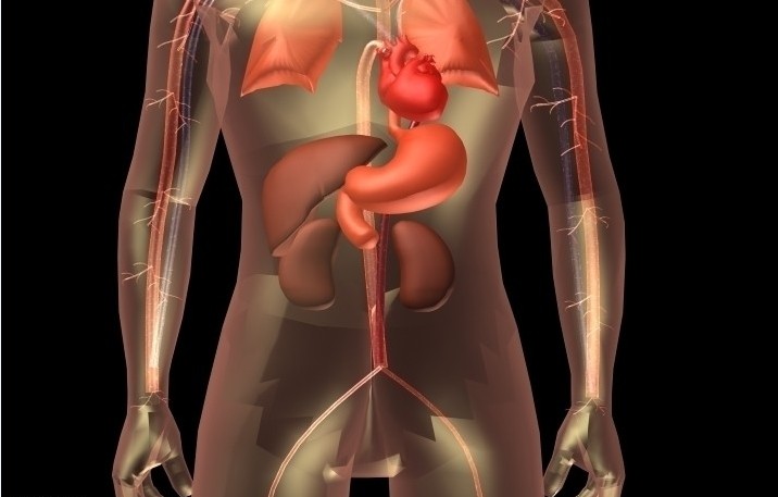 静注人免疫球蛋白临床应用文献总结（儿科）