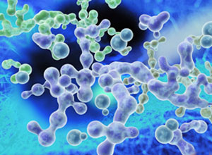 关于进一步实施血液制品批签发工作的通知