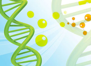 2005关于发布预防用生物制品注册申办须知的通知附件2