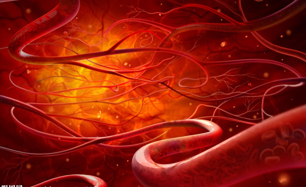 川崎病发病10天后给予静脉注射免疫球蛋白的疗效评价（Pediatrics. 2012 Feb;129(2):e291-7. Epub 2012 Jan 16）