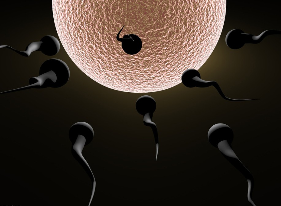 阿瑞吡坦联合5HT3-RA和地塞米松能显著改善顺铂化疗的CR率(J Clin Oncol 30(32): 3998-4003.)