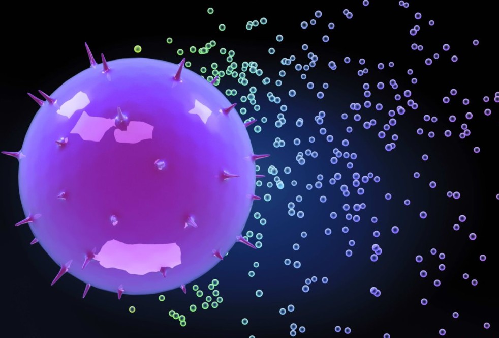 持续病毒学应答可防止慢性丙型肝炎患者胰岛素抵抗进展（HepatologyVolume 56, Issue 5,  pages 1681–1687, November 2012）