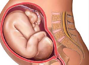 孕妇感染巨细胞病毒后应用免疫球蛋白可以有效减少胎儿感染巨细胞病毒引起的功能障碍（J Infect Dis. 2012 Jan 15;205(2):215-27. Epub 2011 Dec 2）