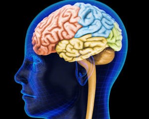 钙拮抗剂治疗急性缺血性卒中无效(Cochrane Database Syst Rev. 2012 May 16;5:CD008016.)