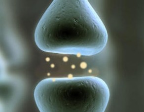 骶神经刺激和止痛作用存在潜在的因果关系(Clin J Pain. 2012 Jul;28(6):539-41.)