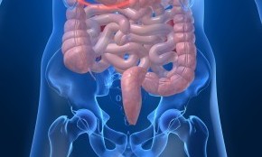 患有炎性肠病并使用英利昔单抗治疗的儿童的应该做好乙肝免疫的监测（Am J Gastroenterol. 2012 Jan;107(1):133-8. doi: 10.1038/ajg.2011.295. Epub 2011 Aug 30.）