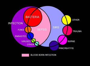 经验性应用莫西沙星联合美罗培南不会降低重症脓毒症成人患者器官功能衰竭的发生比例（JAMA. 2012 Jun 13;307(22):2390-9.）