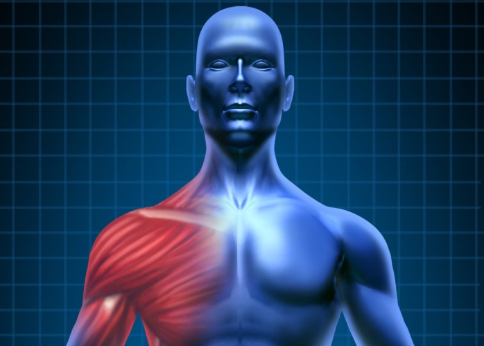 皮质类固醇治疗或可改善风湿性多肌痛患者血管内皮损伤和修复之间的失衡( J Intern Med 2012; 272: 177–184.)