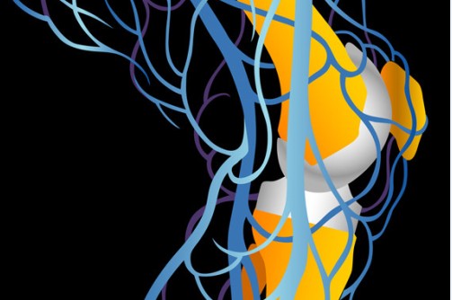 两种分子量不同的关节内透明质酸制剂治疗膝骨关节炎哪种更优?(Ann Rheum Dis 2012;71:1454-1460.)