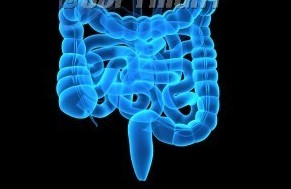 耐药时代,如何提高幽门螺杆菌根除率?(Aliment Pharmacol Ther. 2012 Aug;36(3):231-8)