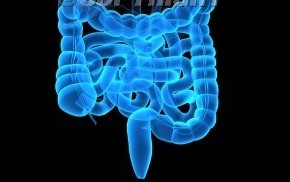富含类黄酮饮食能否预防大肠癌?(Cochrane Database Syst Rev 8: CD009350. )