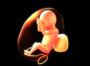 极低出生体重的新生儿凝固酶阴性葡萄球菌败血症临床结局与万古霉素疗程的关系（Br J Clin Pharmacol. 2012 Dec 4. doi: 10.1111/bcp.12053. [Epub ahead of print]）