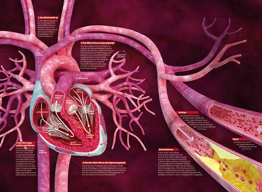 服用新型口服抗凝剂患者的出血管理(Eur Heart J. 2012 Dec 7)