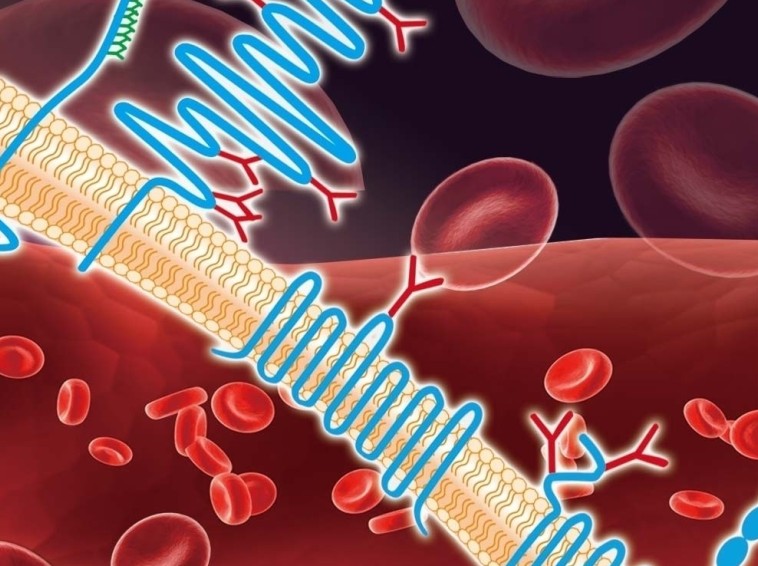 摄取咖啡能降低静脉血栓风险?(J Thromb Haemost. 2012 Dec;10(12):2519-25.)