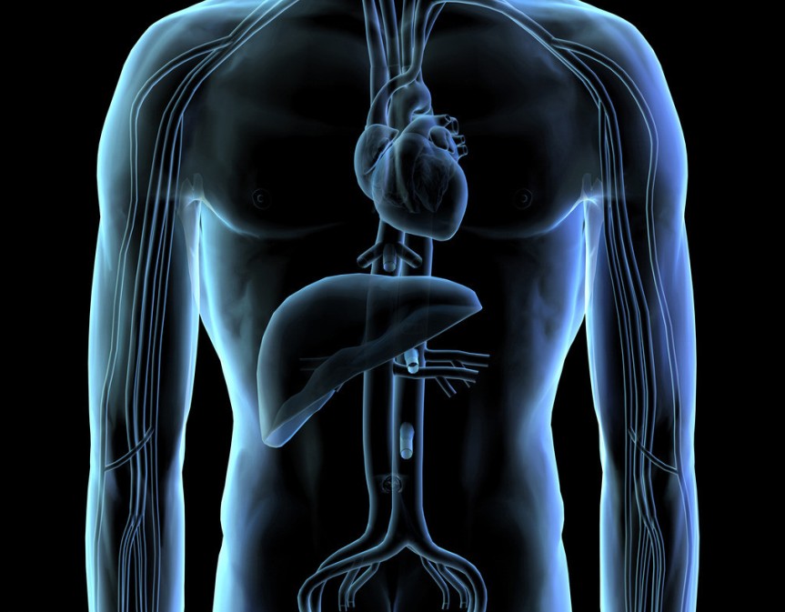 替诺福韦治疗5年可以改善乙肝患者的肝脏结构(Lancet. 2013 Feb 9;381(9865):468-75. doi: 10.1016/S0140-6736(12)61425-1. Epub 2012 Dec 10.)