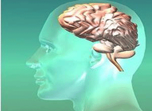 抗惊厥药物对癫痫中突发意外死亡的潜在作用（CNS Drugs. 2013 Feb;27(2):113-9.）