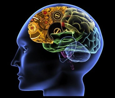 卡比多巴-左旋多巴缓释剂型与速释剂型治疗帕金森患者和症状波动状态(Lancet Neurol. 2013 Apr 1)