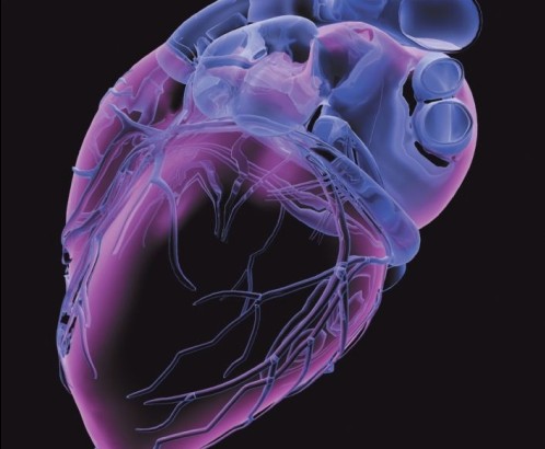 阿哌沙班与华法林相比对卒中或全身性栓塞、出血和死亡率的获益类似（Circulation. 2013 Jun 4;127(22):2166-76.）