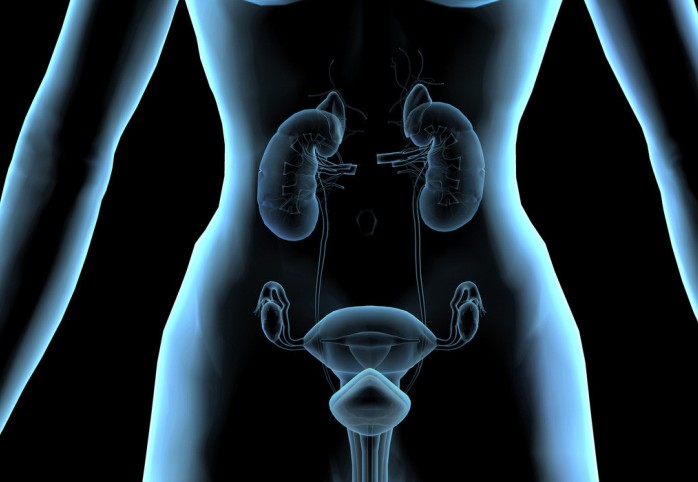 慢性肾病患者长期使用质子泵抑制剂与血管钙化相关（Drug Saf. 2013 May 14. [Epub ahead of print]）