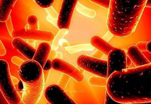 羟乙基淀粉130/0.4和醋酸林格氏液扩容效应之间的相互作用（Crit Care. 2013 May 29;17(3):R104.）