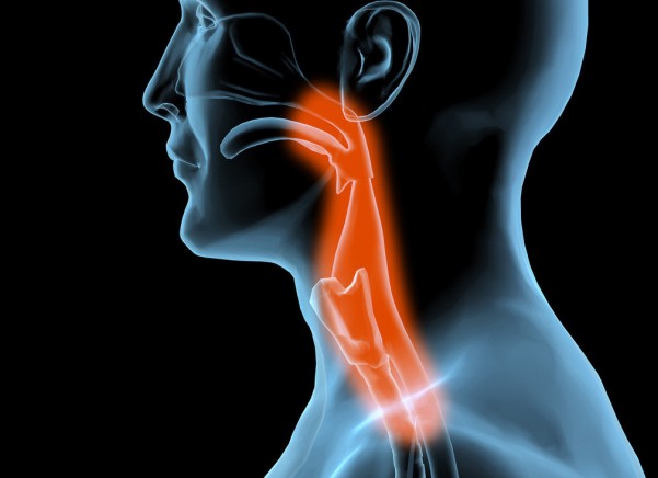 疑似嗜酸性粒细胞性食管炎的质子泵抑制剂治疗(Aliment Pharmacol Ther. 2013 Jun;37(12):1157-64)