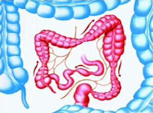 ICU腹泻:肠内营养和抗菌药物的贡献(Crit Care. 2013 Jul 24;17(4):R153)