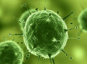 埃博拉传染期间的新疗法