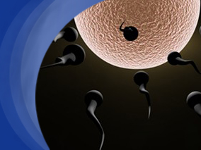 精子浓度会随着烷化剂暴露剂量的增加而降低