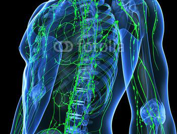 高强度化疗的早期应答评估可用于霍奇金淋巴瘤治疗方案的调整