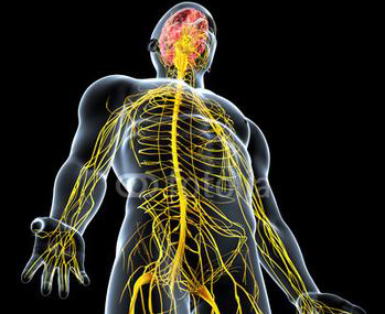 来那度胺联合利妥昔单抗治疗惰性非霍奇金淋巴瘤安全有效