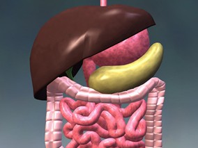 他巴唑/卡比马唑和丙硫氧嘧啶的肝毒性发生率不同